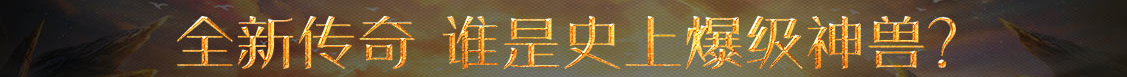 股票网期货管理